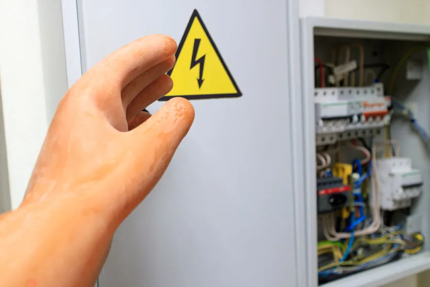 Lire la suite à propos de l’article Comment améliorer la fiabilité d’un réseau électrique exposé à la faune ?